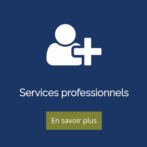 Services professionnels